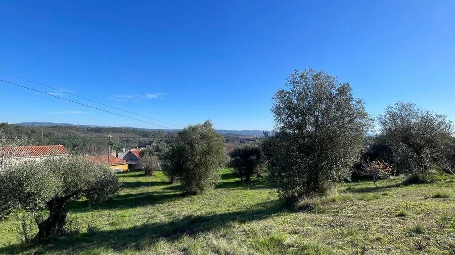 Terreno para Venda em Além da Ribeira e Pedreira