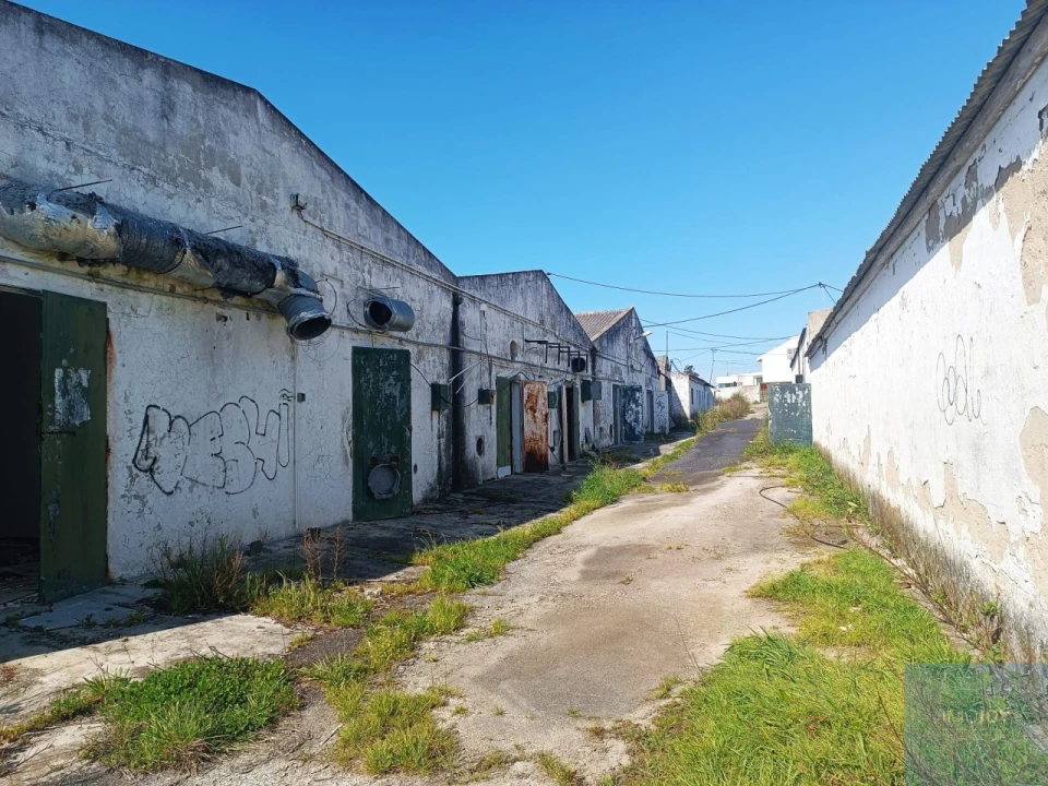 Terreno para Venda em Santa Maria e São Miguel, São Martinho, São Pedro Penaferrim Foto 6