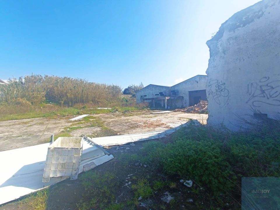 Terreno para Venda em Santa Maria e São Miguel, São Martinho, São Pedro Penaferrim Foto 9