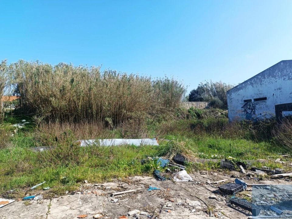 Terreno para Venda em Santa Maria e São Miguel, São Martinho, São Pedro Penaferrim Foto 11