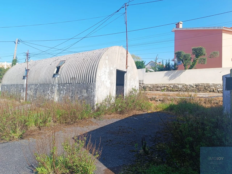 Terreno para Venda em Santa Maria e São Miguel, São Martinho, São Pedro Penaferrim Foto 12