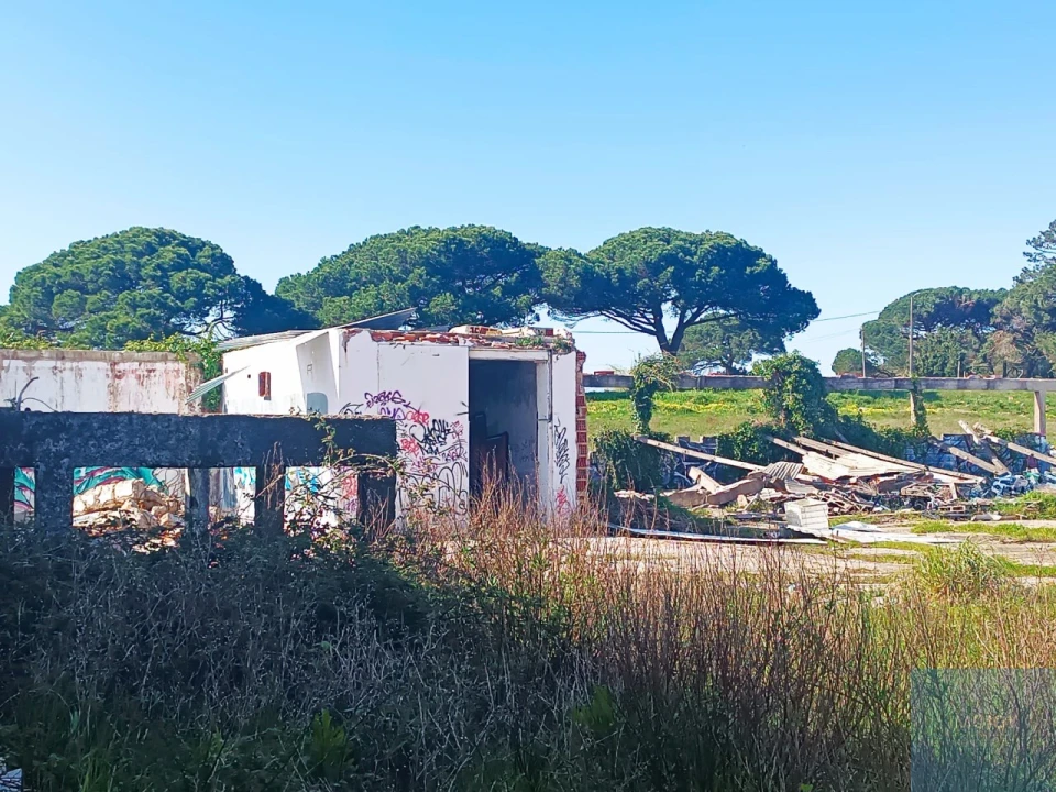 Terreno para Venda em Santa Maria e São Miguel, São Martinho, São Pedro Penaferrim Foto 13