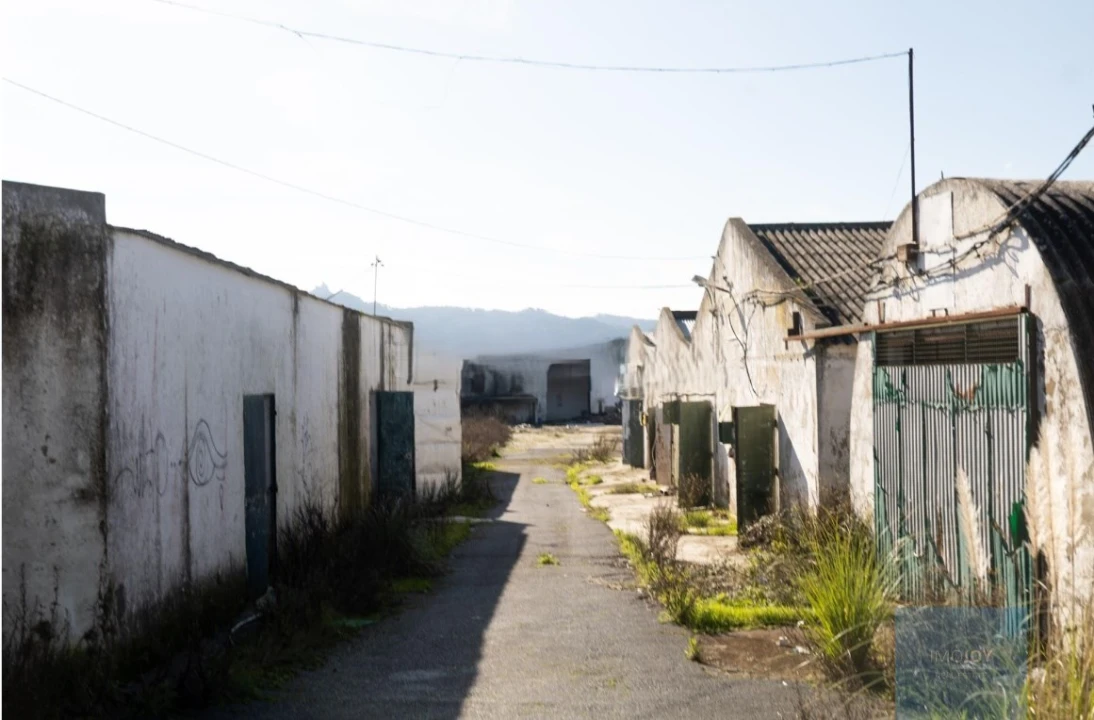 Terreno para Venda em Santa Maria e São Miguel, São Martinho, São Pedro Penaferrim Foto 14