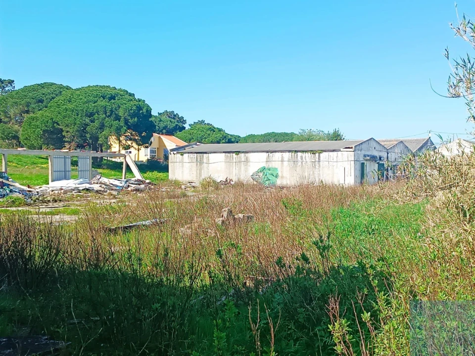 Terreno para Venda em Santa Maria e São Miguel, São Martinho, São Pedro Penaferrim Foto 15