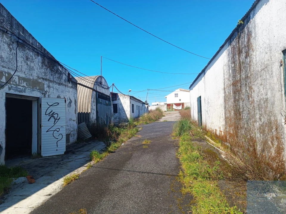 Terreno para Venda em Santa Maria e São Miguel, São Martinho, São Pedro Penaferrim Foto 16
