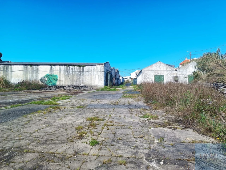 Terreno para Venda em Santa Maria e São Miguel, São Martinho, São Pedro Penaferrim Foto 19