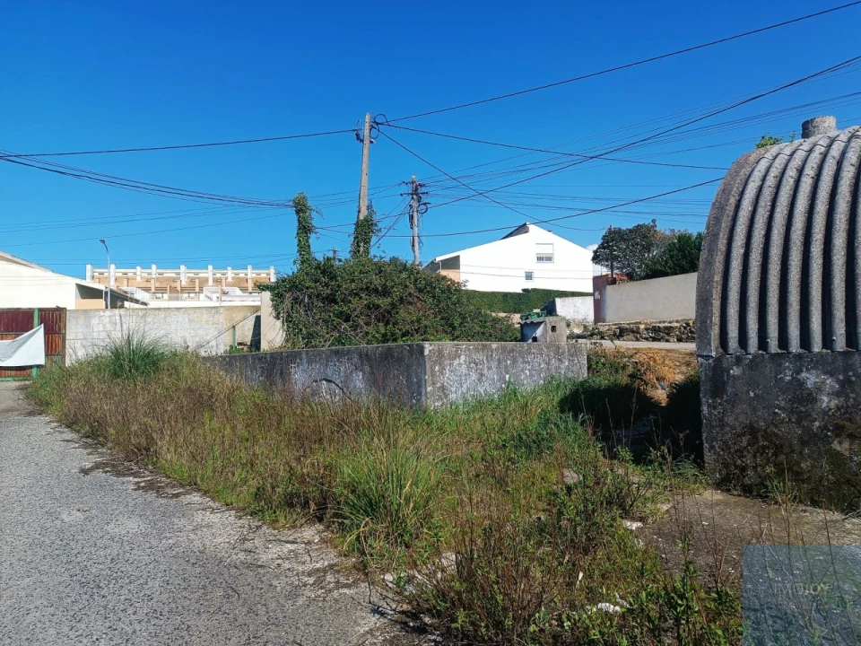 Terreno para Venda em Santa Maria e São Miguel, São Martinho, São Pedro Penaferrim Foto 24