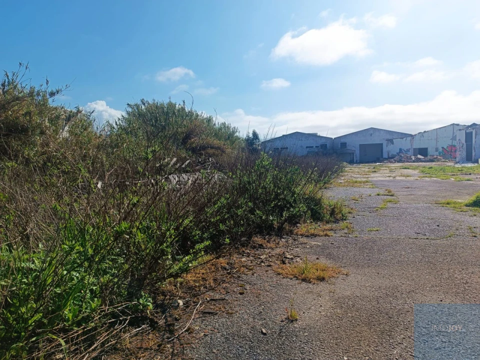 Terreno para Venda em Santa Maria e São Miguel, São Martinho, São Pedro Penaferrim Foto 25