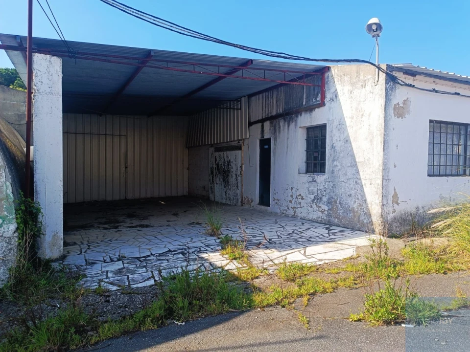 Terreno para Venda em Santa Maria e São Miguel, São Martinho, São Pedro Penaferrim Foto 30