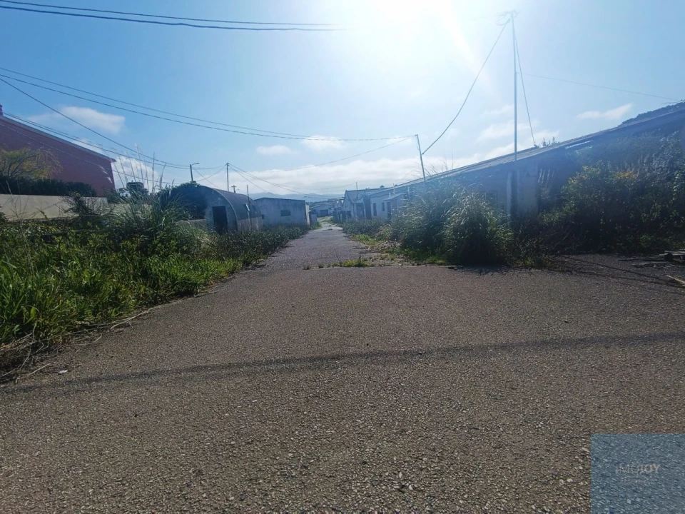 Terreno para Venda em Santa Maria e São Miguel, São Martinho, São Pedro Penaferrim Foto 33