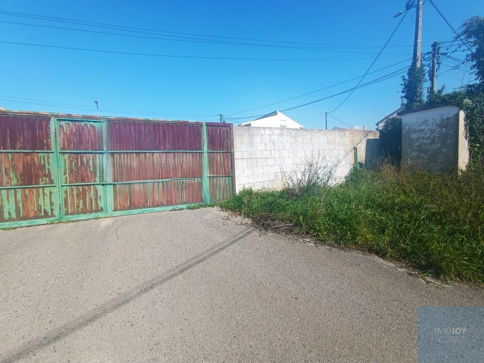 Terreno para Venda em Santa Maria e São Miguel, São Martinho, São Pedro Penaferrim Foto 40