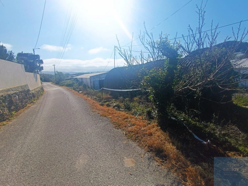 Terreno para Venda em Santa Maria e São Miguel, São Martinho, São Pedro Penaferrim Foto 43