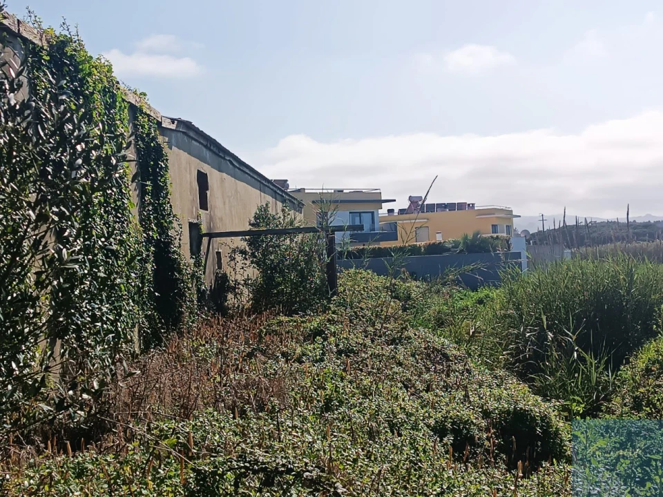 Terreno para Venda em Santa Maria e São Miguel, São Martinho, São Pedro Penaferrim Foto 44