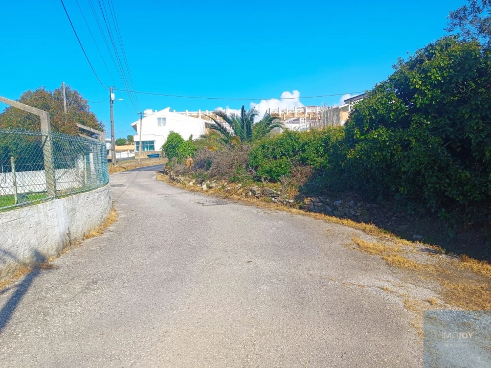 Terreno para Venda em Santa Maria e São Miguel, São Martinho, São Pedro Penaferrim Foto 46