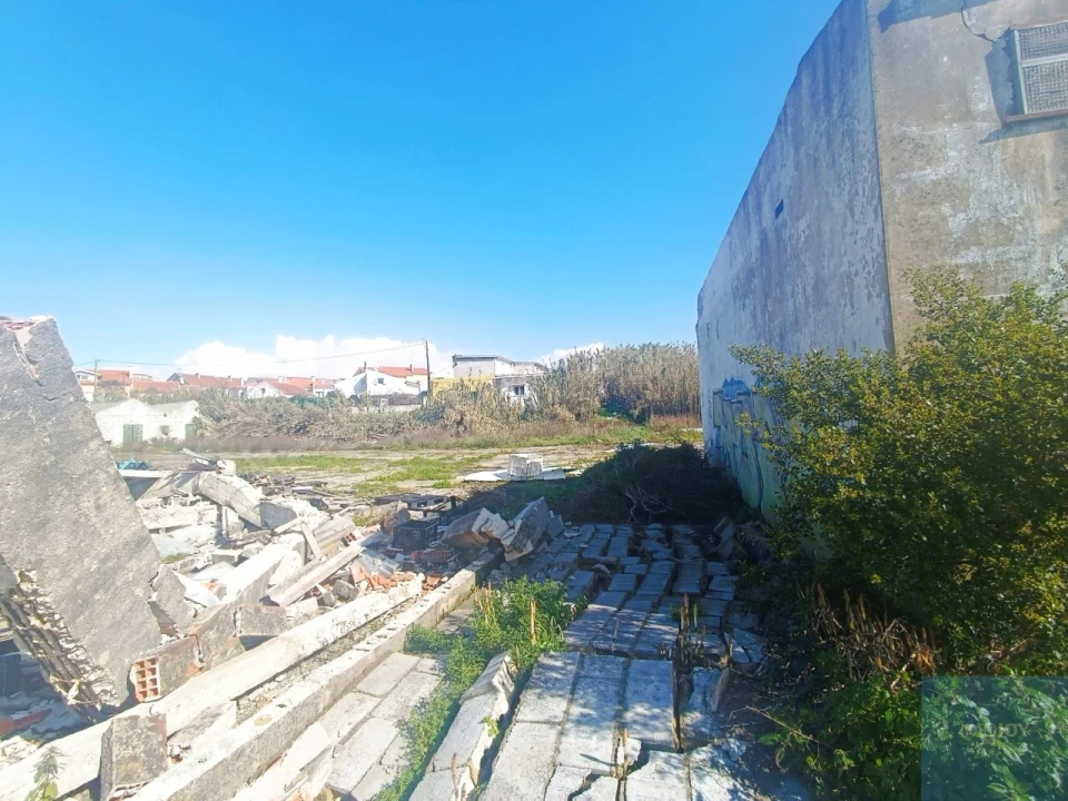 Terreno para Venda em Santa Maria e São Miguel, São Martinho, São Pedro Penaferrim Foto 49