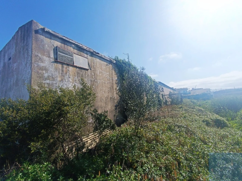 Terreno para Venda em Santa Maria e São Miguel, São Martinho, São Pedro Penaferrim Foto 50