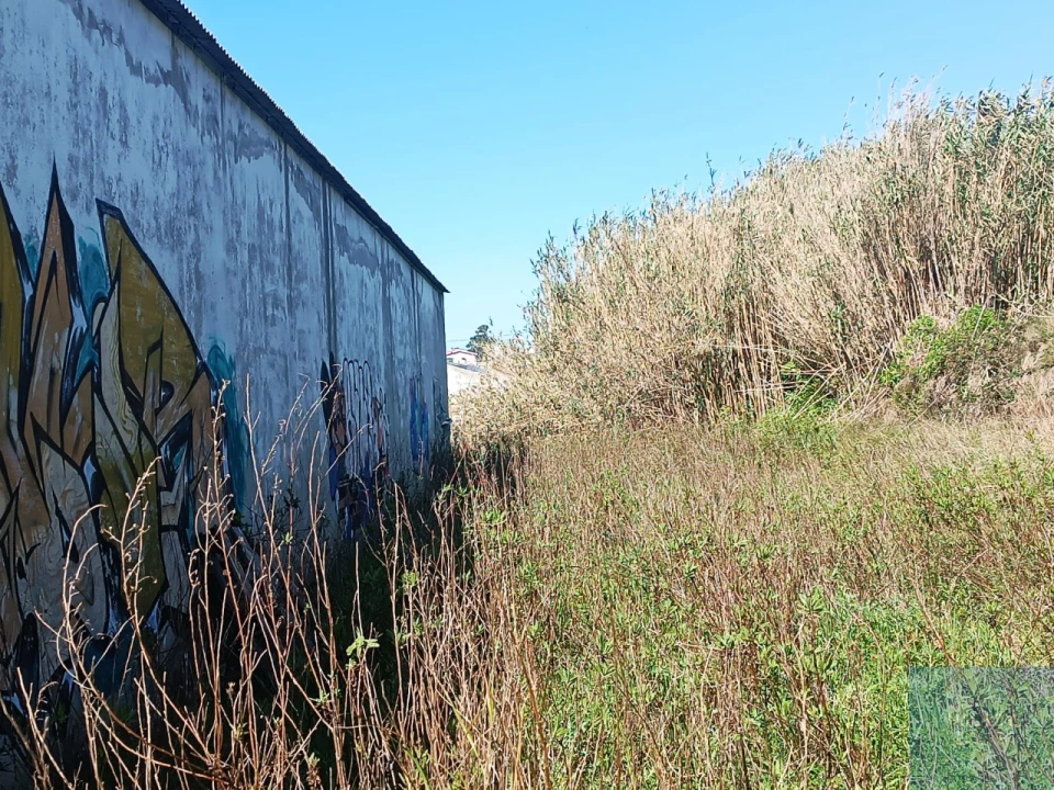 Terreno para Venda em Santa Maria e São Miguel, São Martinho, São Pedro Penaferrim Foto 51