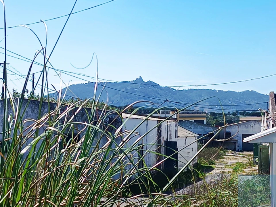 Terreno para Venda em Santa Maria e São Miguel, São Martinho, São Pedro Penaferrim Foto 55