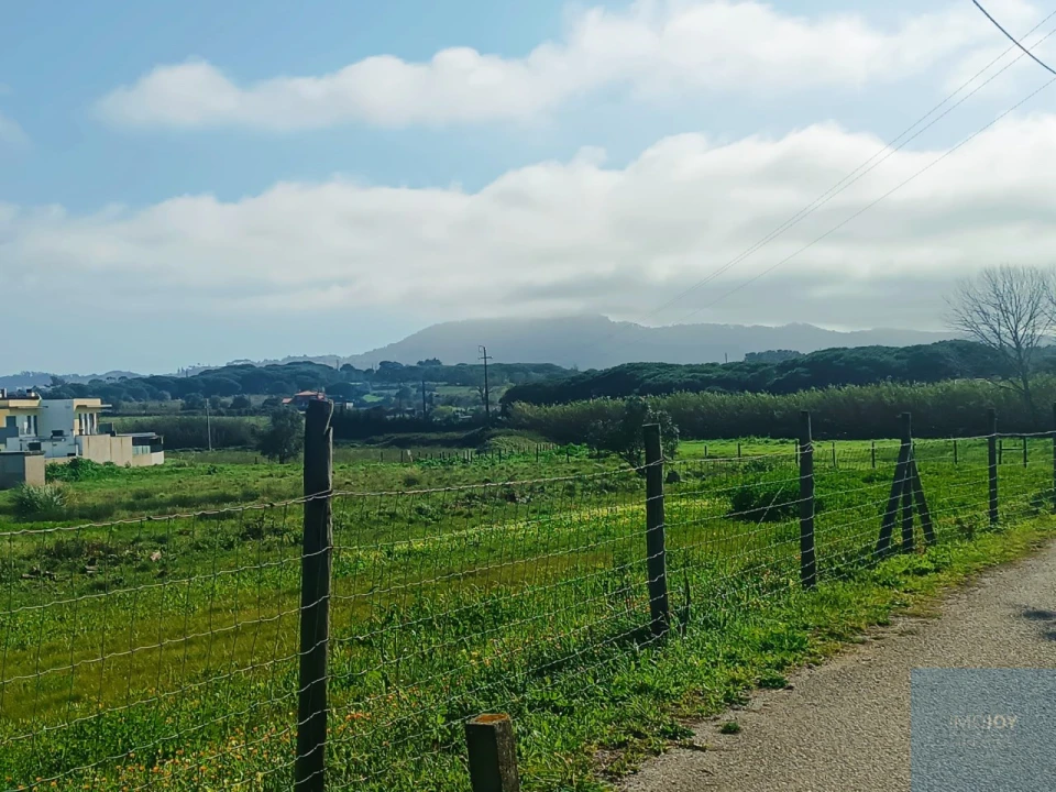 Terreno para Venda em Santa Maria e São Miguel, São Martinho, São Pedro Penaferrim Foto 56