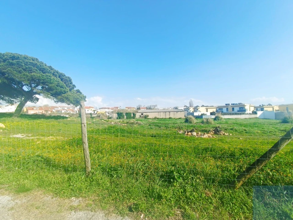 Terreno para Venda em Santa Maria e São Miguel, São Martinho, São Pedro Penaferrim Foto 58