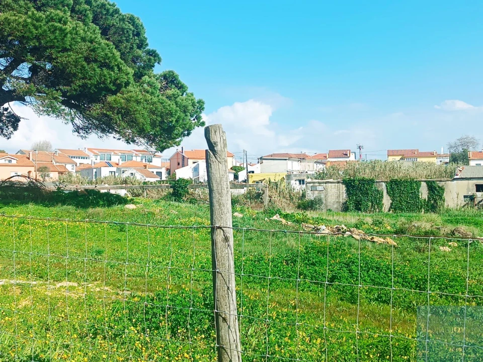 Terreno para Venda em Santa Maria e São Miguel, São Martinho, São Pedro Penaferrim Foto 60