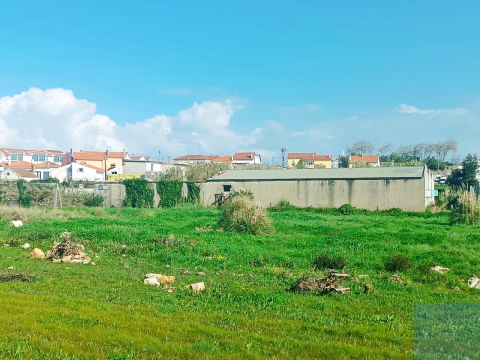 Terreno para Venda em Santa Maria e São Miguel, São Martinho, São Pedro Penaferrim Foto 62