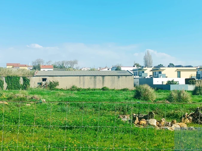 Terreno para Venda em Santa Maria e São Miguel, São Martinho, São Pedro Penaferrim Foto 1
