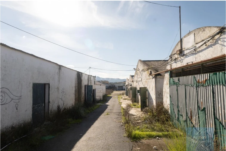 Terreno para Venda em Santa Maria e São Miguel, São Martinho, São Pedro Penaferrim Foto 3