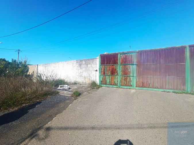 Terreno para Venda em Santa Maria e São Miguel, São Martinho, São Pedro Penaferrim Foto 4