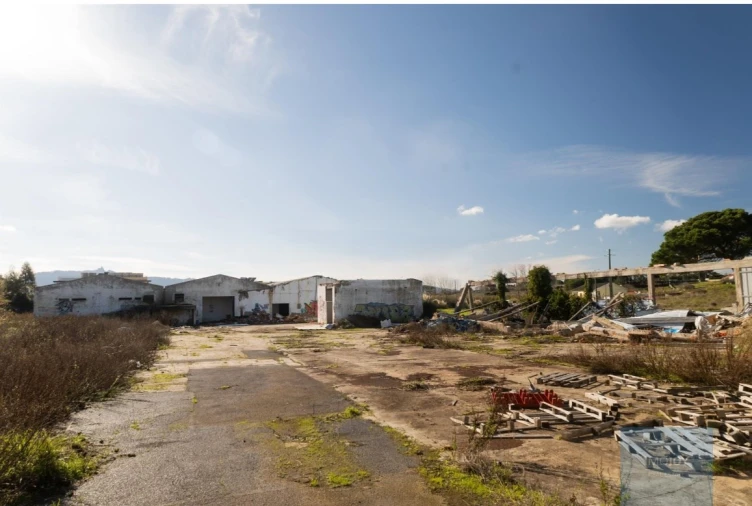 Terreno para Venda em Santa Maria e São Miguel, São Martinho, São Pedro Penaferrim Foto 5