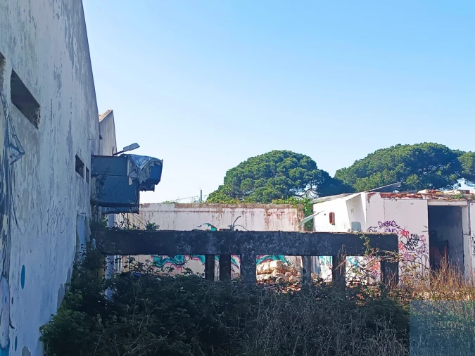 Terreno para Venda em Santa Maria e São Miguel, São Martinho, São Pedro Penaferrim Foto 7