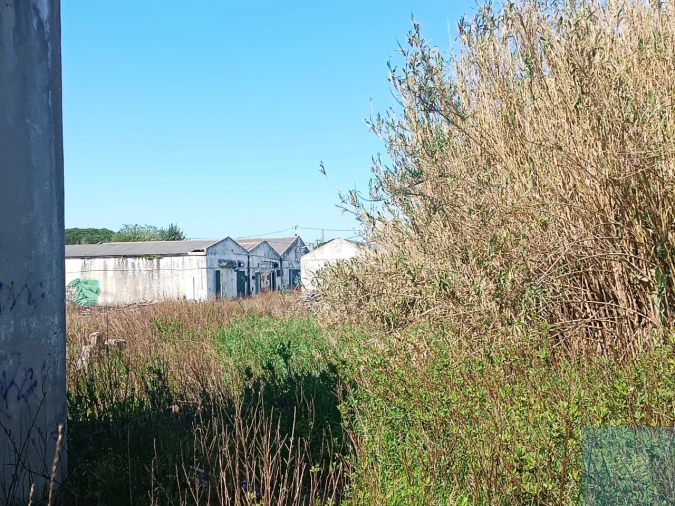 Terreno para Venda em Santa Maria e São Miguel, São Martinho, São Pedro Penaferrim Foto 10