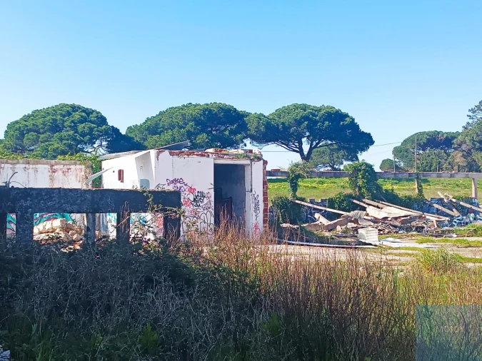 Terreno para Venda em Santa Maria e São Miguel, São Martinho, São Pedro Penaferrim Foto 13