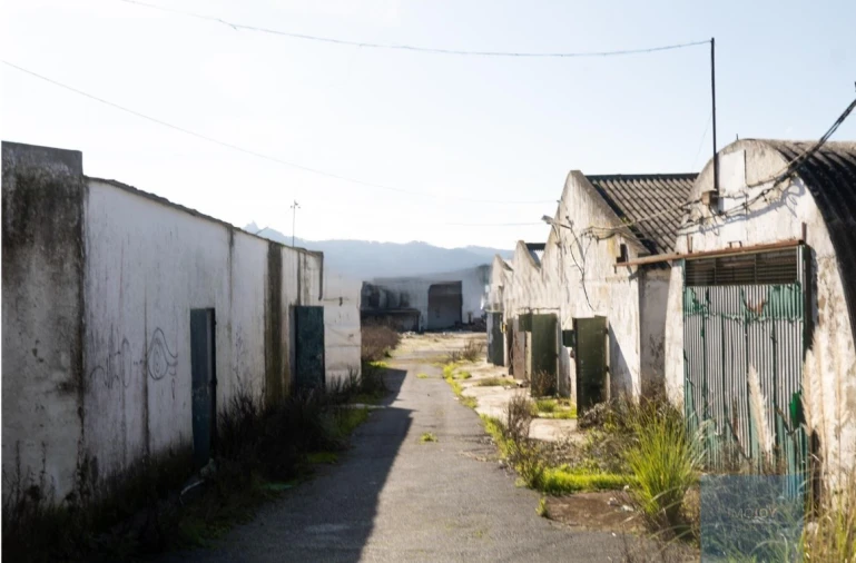 Terreno para Venda em Santa Maria e São Miguel, São Martinho, São Pedro Penaferrim Foto 14