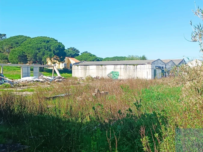 Terreno para Venda em Santa Maria e São Miguel, São Martinho, São Pedro Penaferrim Foto 15