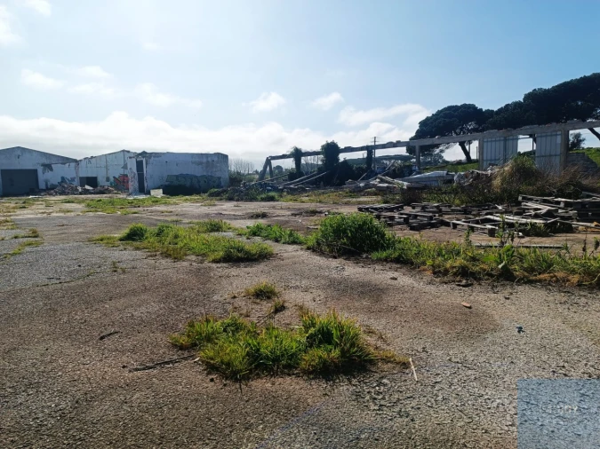 Terreno para Venda em Santa Maria e São Miguel, São Martinho, São Pedro Penaferrim Foto 18
