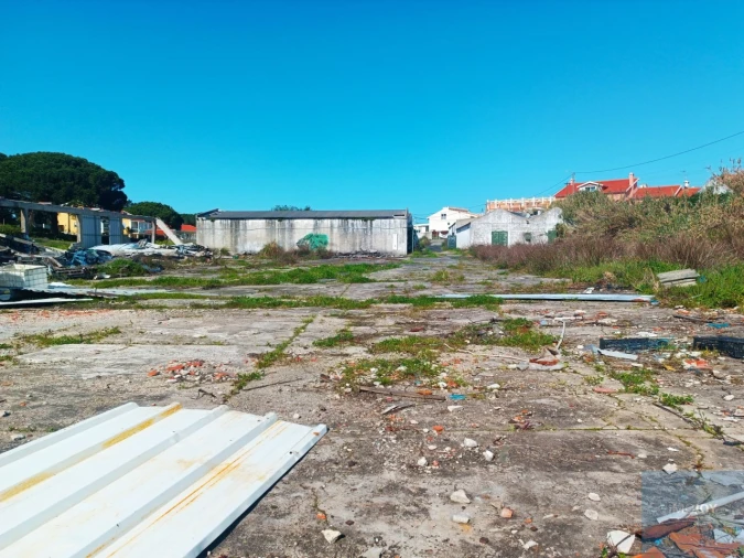 Terreno para Venda em Santa Maria e São Miguel, São Martinho, São Pedro Penaferrim Foto 22