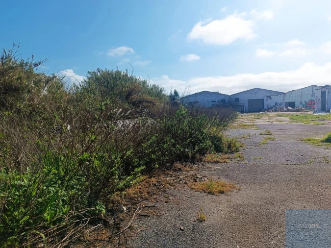 Terreno para Venda em Santa Maria e São Miguel, São Martinho, São Pedro Penaferrim Foto 25