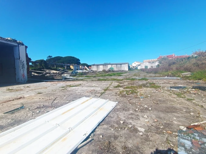 Terreno para Venda em Santa Maria e São Miguel, São Martinho, São Pedro Penaferrim Foto 28