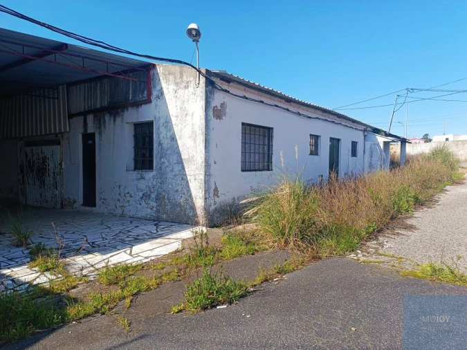 Terreno para Venda em Santa Maria e São Miguel, São Martinho, São Pedro Penaferrim Foto 29