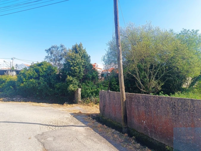Terreno para Venda em Santa Maria e São Miguel, São Martinho, São Pedro Penaferrim Foto 38