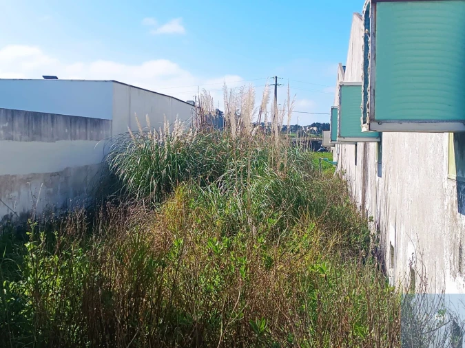 Terreno para Venda em Santa Maria e São Miguel, São Martinho, São Pedro Penaferrim Foto 45