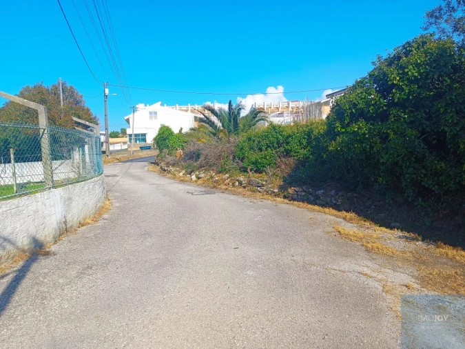 Terreno para Venda em Santa Maria e São Miguel, São Martinho, São Pedro Penaferrim Foto 46