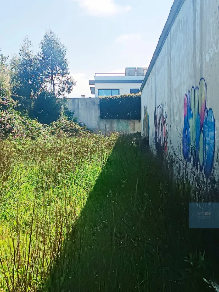 Terreno para Venda em Santa Maria e São Miguel, São Martinho, São Pedro Penaferrim Foto 48