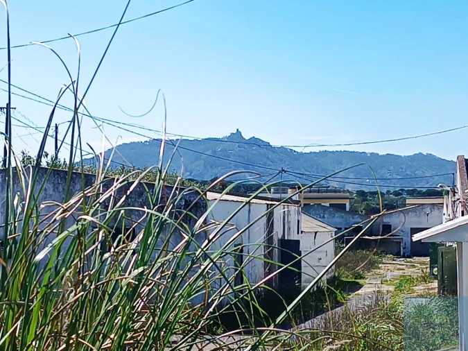 Terreno para Venda em Santa Maria e São Miguel, São Martinho, São Pedro Penaferrim Foto 55