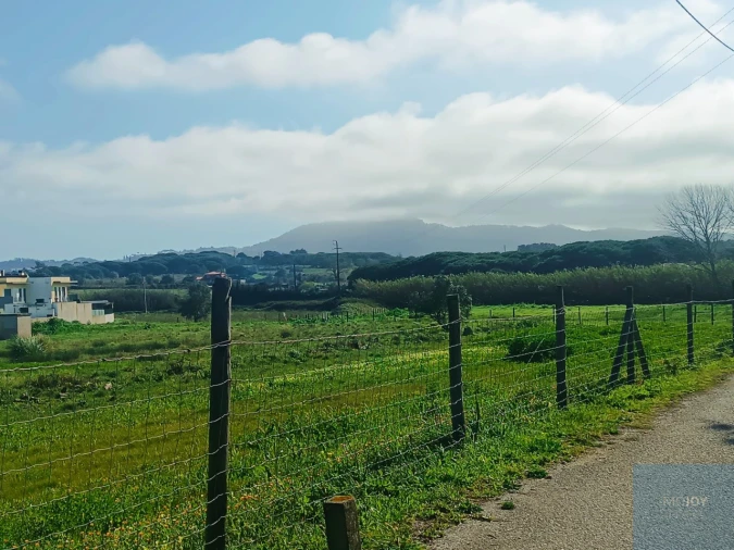 Terreno para Venda em Santa Maria e São Miguel, São Martinho, São Pedro Penaferrim Foto 56