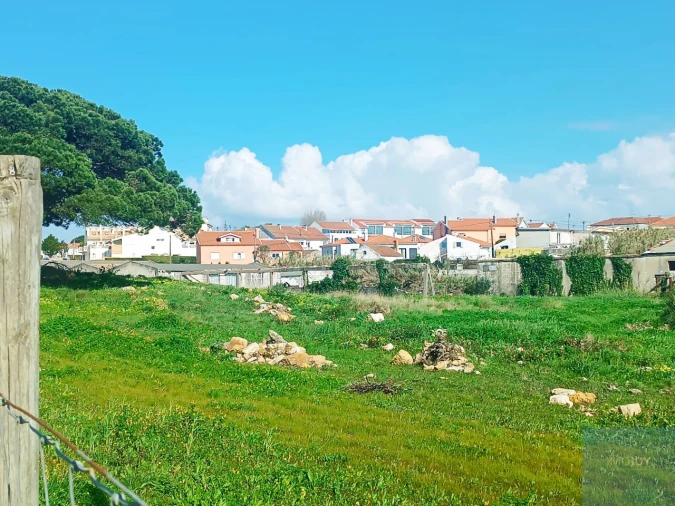 Terreno para Venda em Santa Maria e São Miguel, São Martinho, São Pedro Penaferrim Foto 59