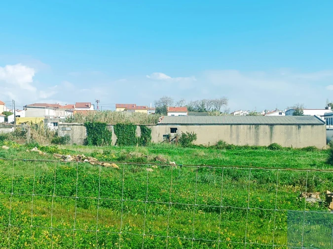 Terreno para Venda em Santa Maria e São Miguel, São Martinho, São Pedro Penaferrim Foto 61