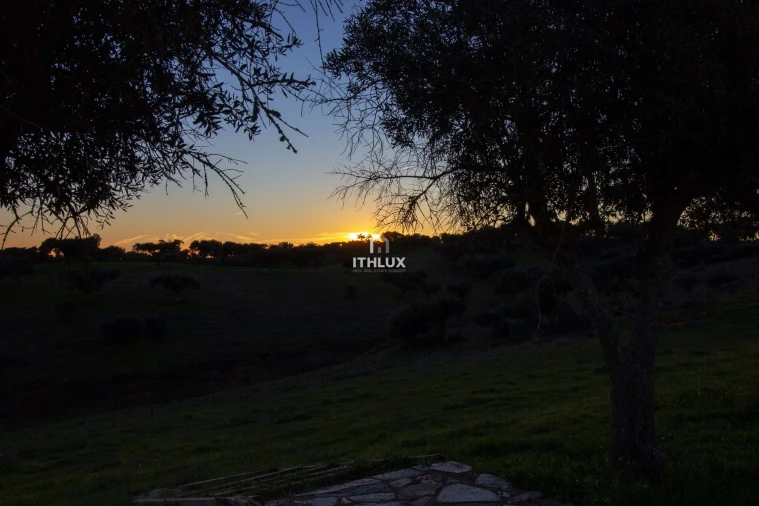 Terreno Agricola ou Rústico para Venda em Assunção, Ajuda, Salvador e Santo Ildefonso Foto 7