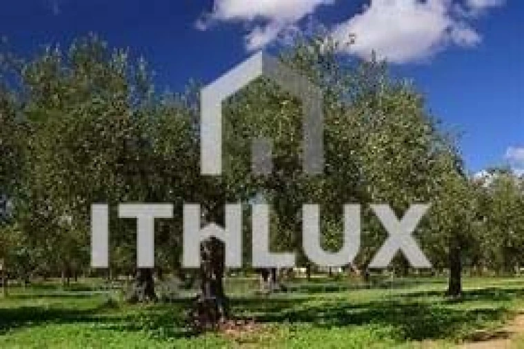 Terreno Agricola ou Rústico para Venda em Assunção, Ajuda, Salvador e Santo Ildefonso Foto 4